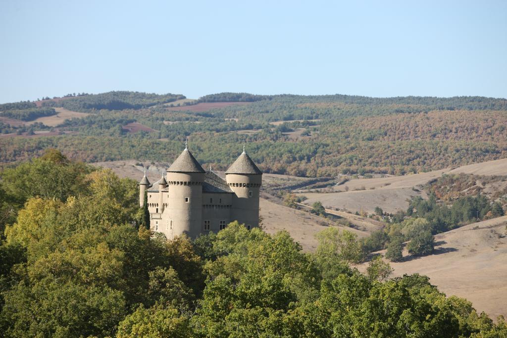 Chateau De Lugagnac Rivière-sur-Tarn Exteriör bild