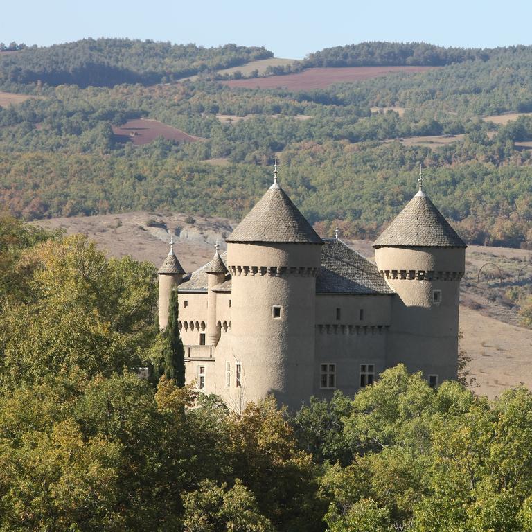 Chateau De Lugagnac Rivière-sur-Tarn Exteriör bild